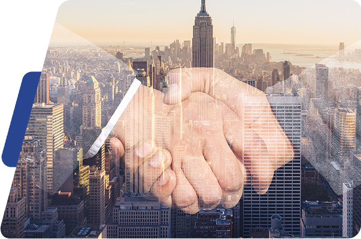 Company vision